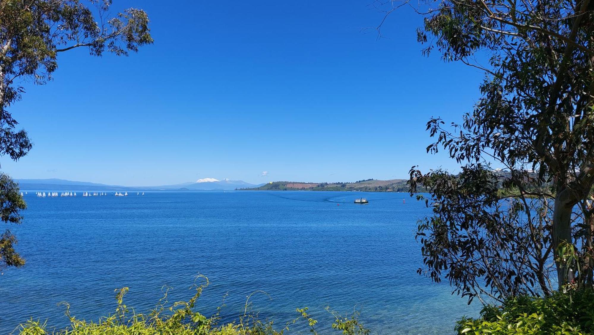 Bed And Breakfast Happy Home Taupo Accommodation Luaran gambar